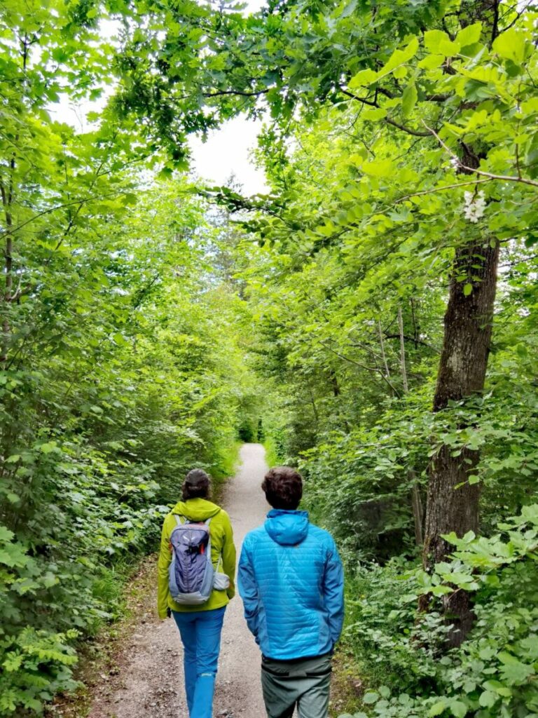 Durch den Wald in Richtung Ilkahöhe wandern